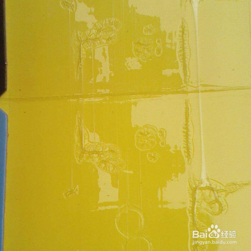 老鼠为什么不碰粘鼠板