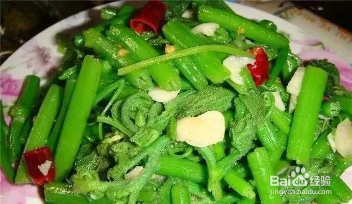 清炒蒜香南瓜藤