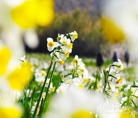 让你一生难忘的话 2