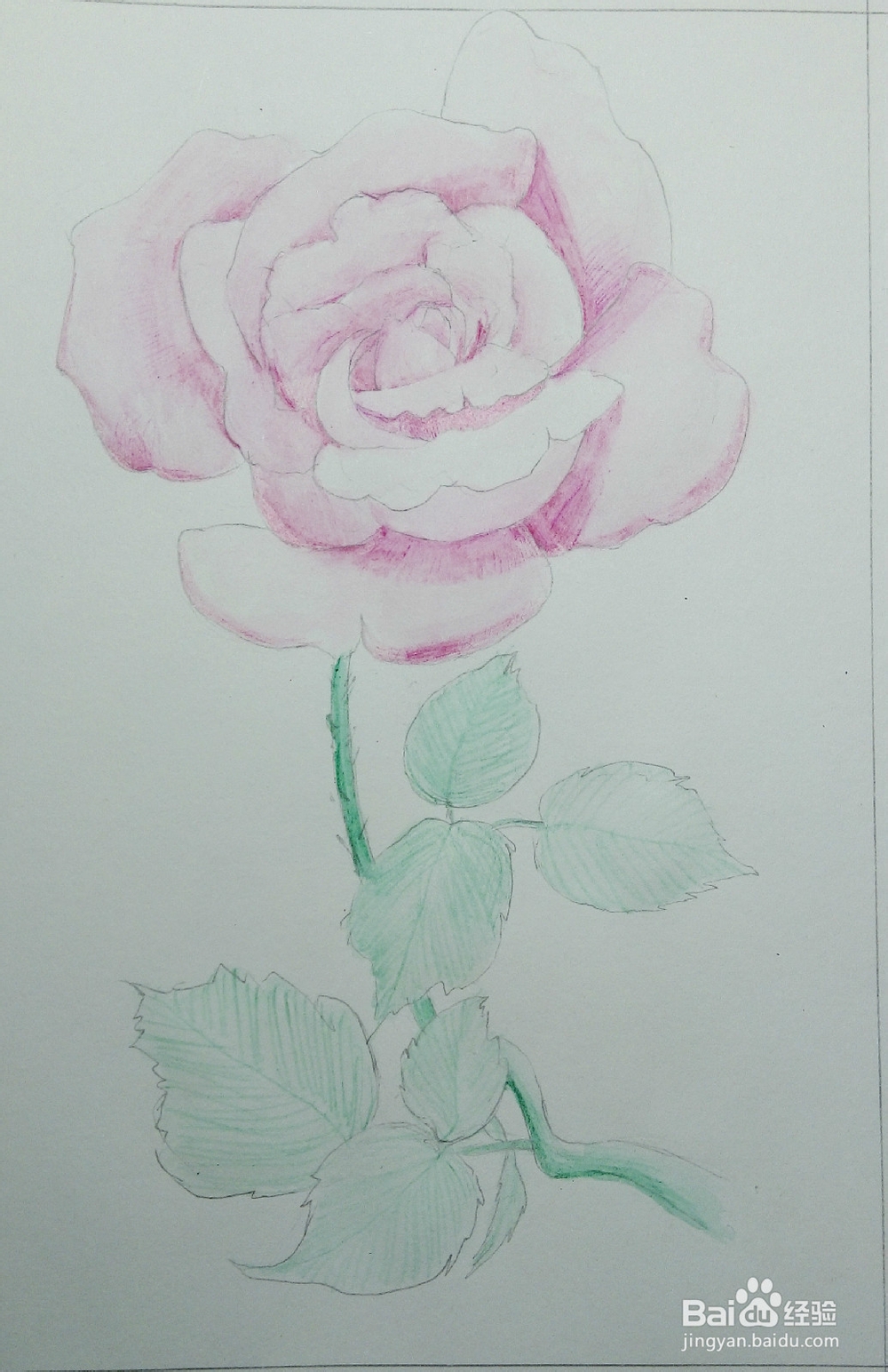 只能为你画一张小小的卡片——《一枝玫瑰》