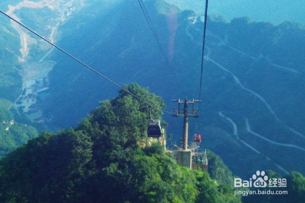 如何安排张家界和凤凰古城的7天游呢？