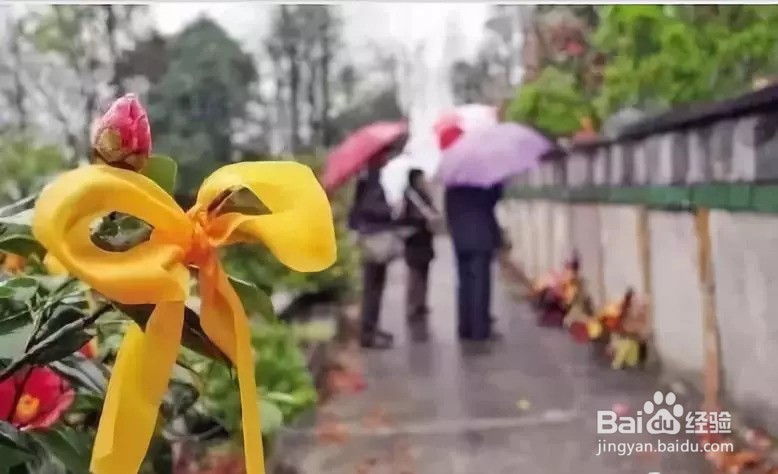 疫情期间如何引导文明祭祀