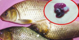 生活中不靠谱的小偏方？