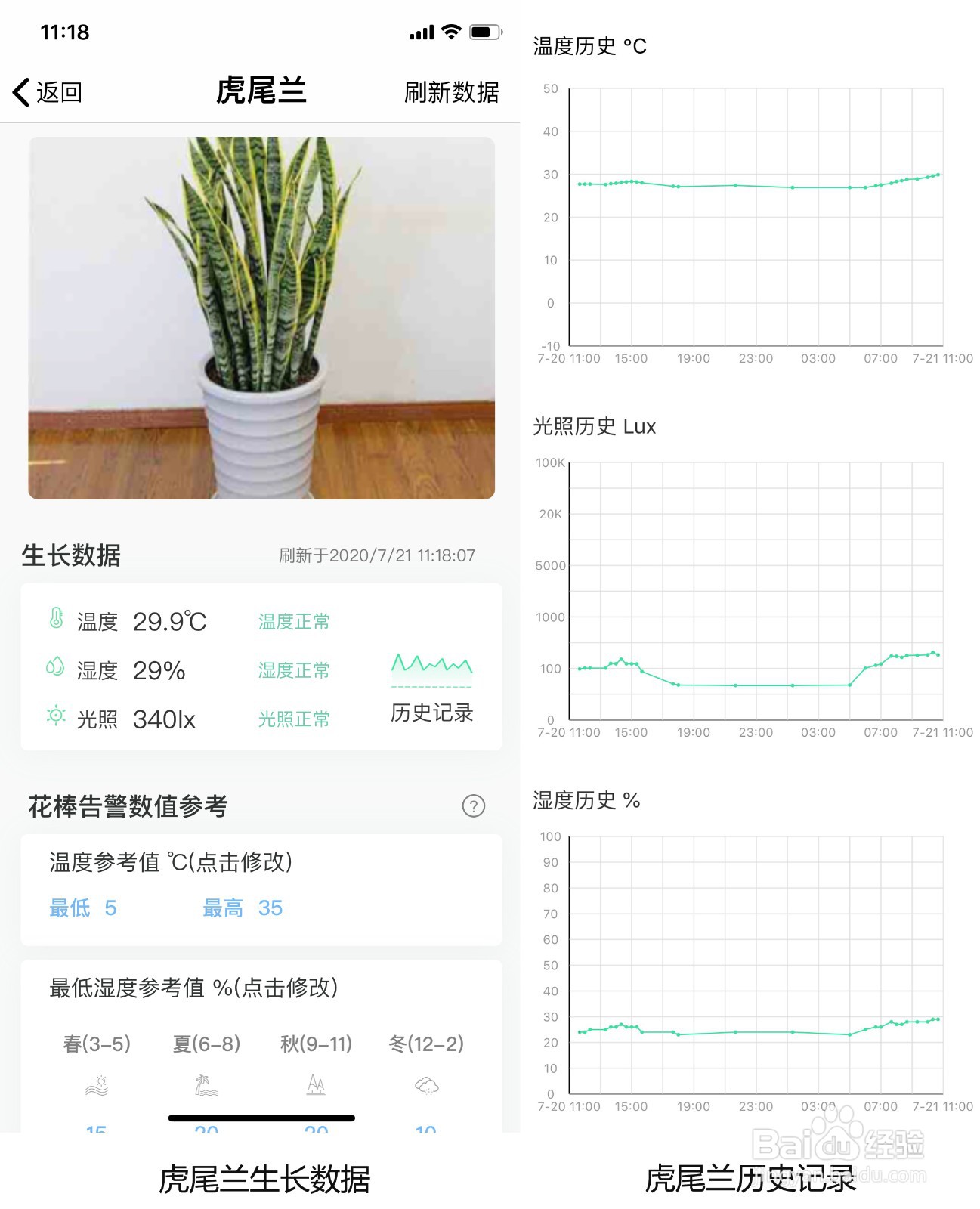 用花将花草监测仪养殖虎尾兰的方法和注意事项