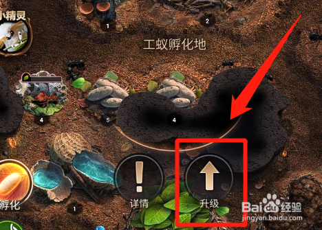 小小蚁国如何提升蚁巢的蚁群数量？