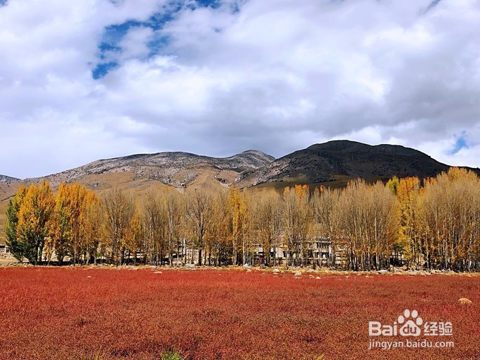 有一个地方叫做稻城 稻城之旅