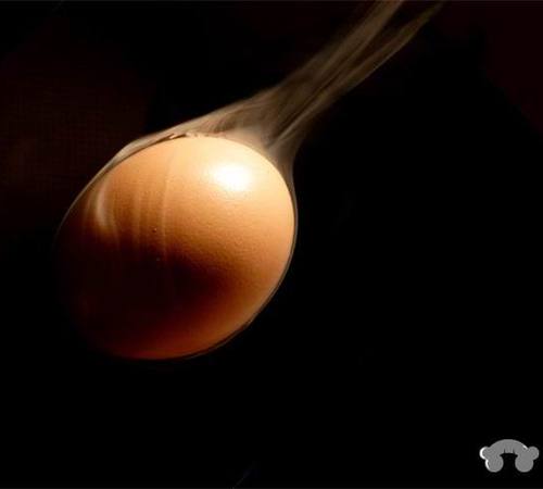 数码摄影入门五部曲从菜鸟开始学摄影