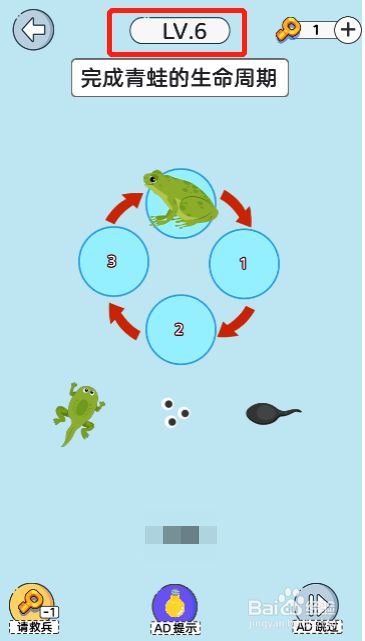 烧脑奥里给第六关过关攻略