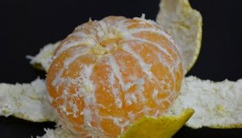 防禽流感须提高免疫力的方法