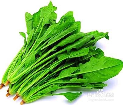 生活中如何选购菠菜