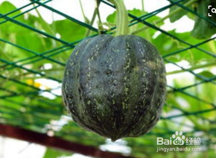 院子新垫的土怎么处理