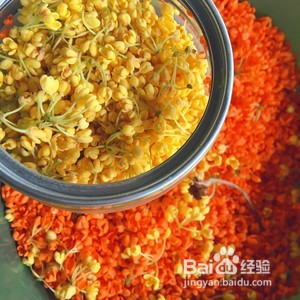 用烤箱怎么烘干桂花