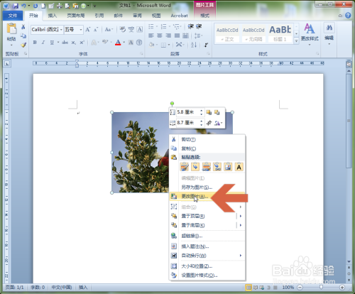 怎么把word中的图片更换为其他图片