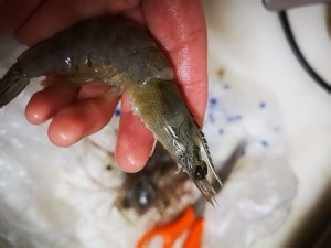 简单快手而又酥香有嚼劲的椒盐虾