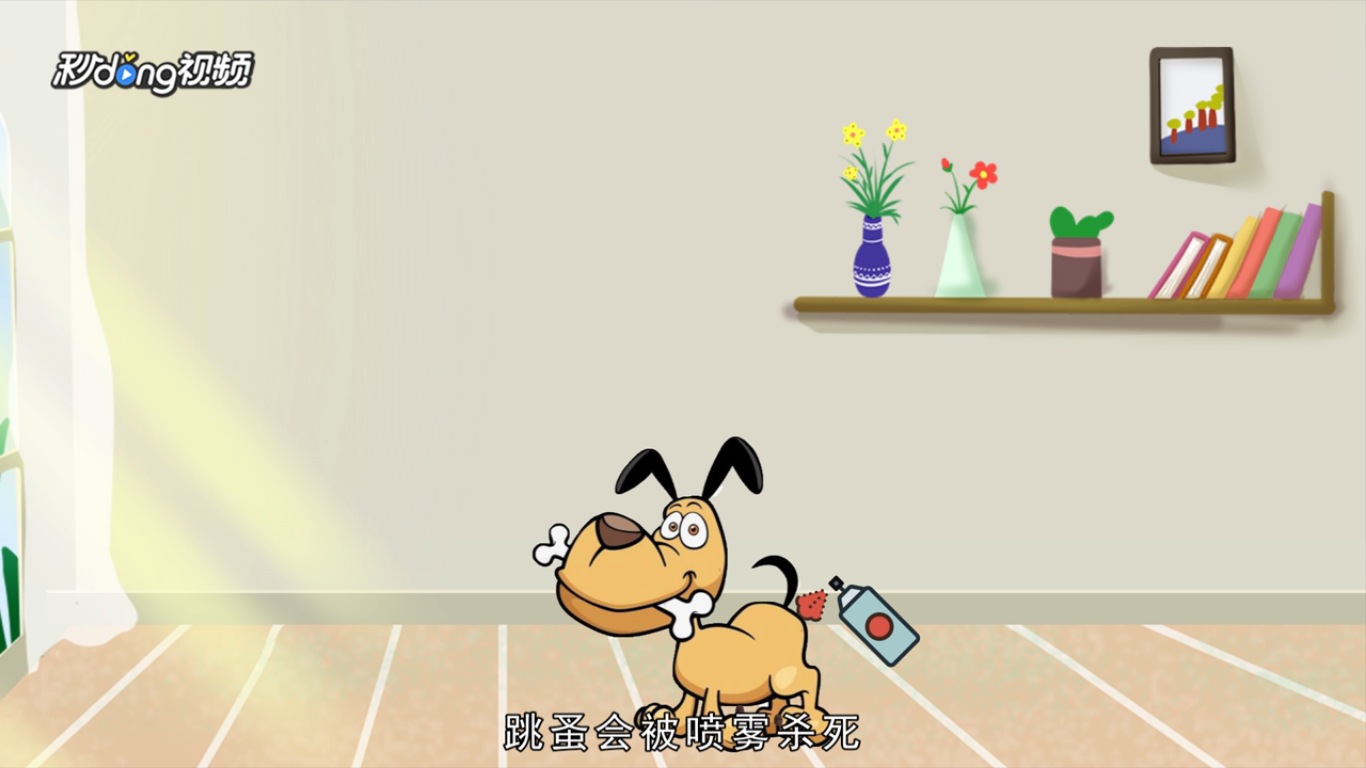 狗狗身上有跳蚤怎么办