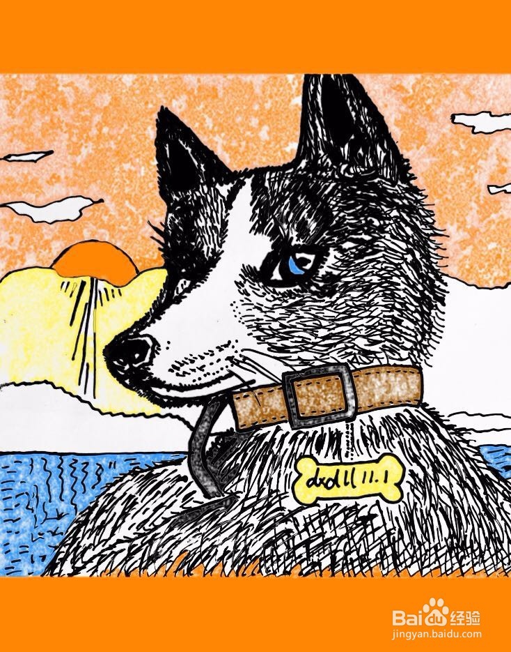 茉莉蜡笔手绘之萌宠哈士奇
