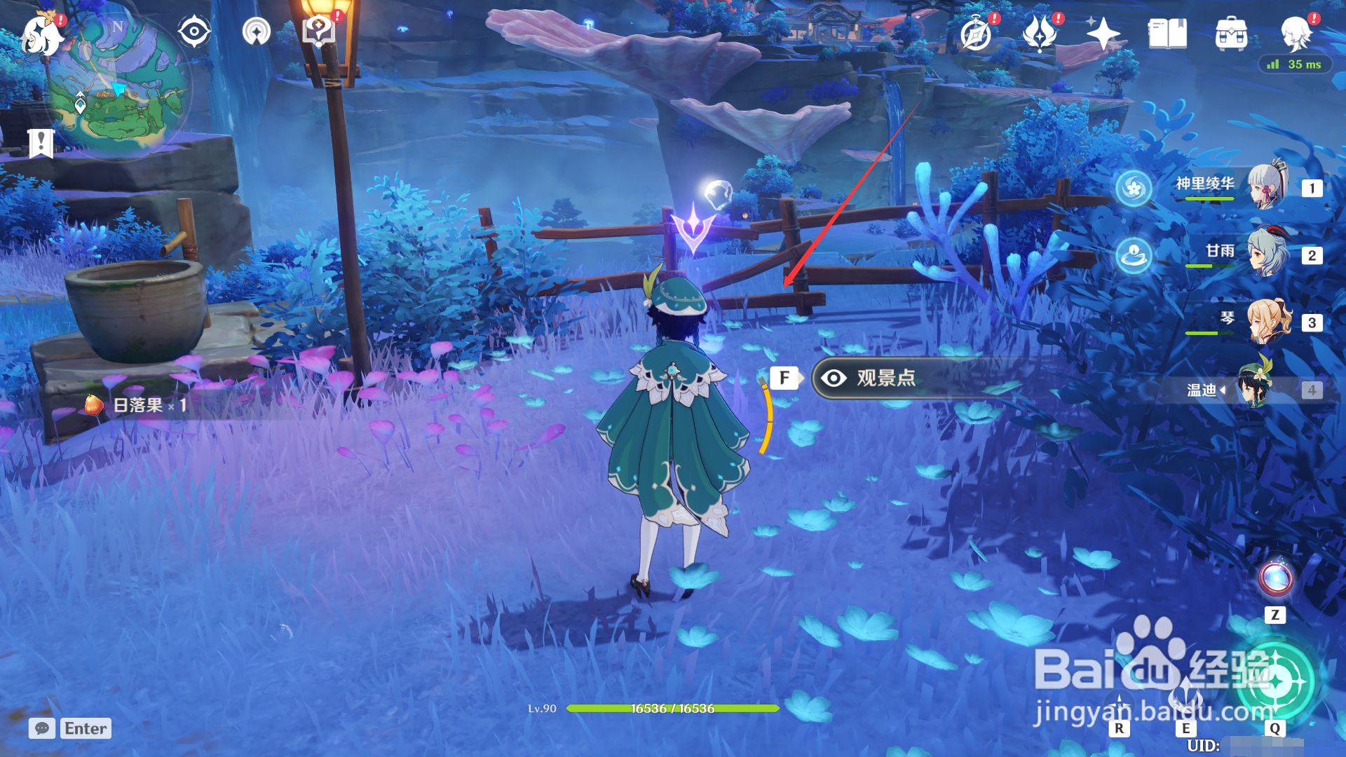 稻妻观景点七的位置。