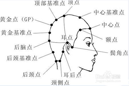 了解发型设计的基本原理