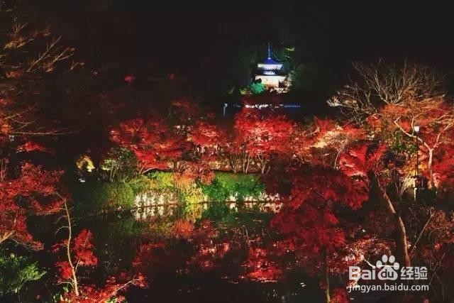 新西兰自由行全攻略