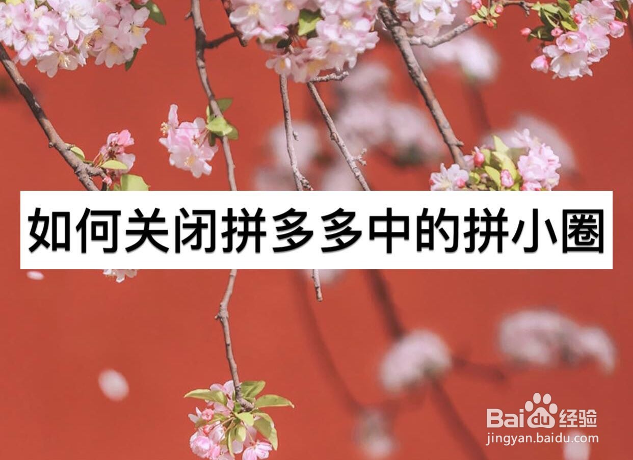 如何关闭拼多多中的拼小圈