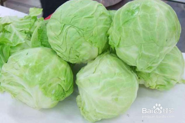 适合夏季养胃吃的12种食物