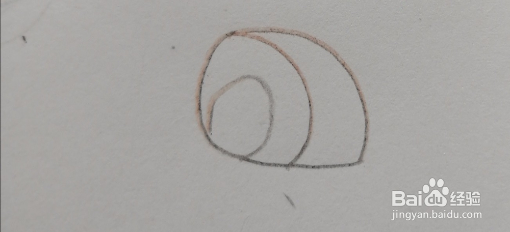 如何用数字5-9画出小动物呢？（下）