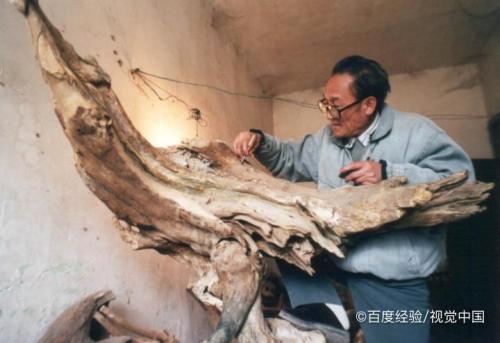 老人根的药用与功效