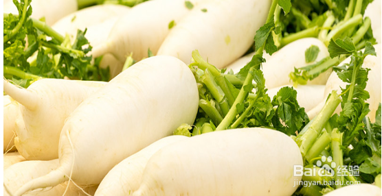 怎样储存萝卜过冬