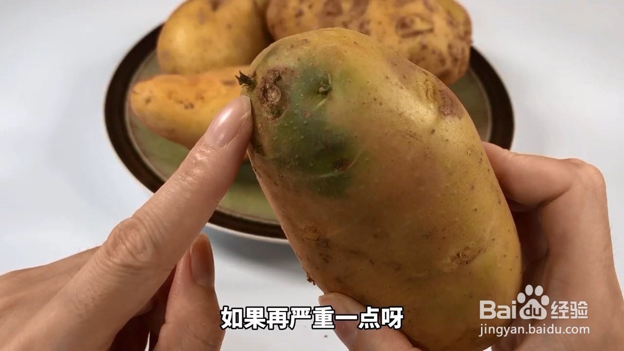 发芽土豆含有有毒的龙葵碱，即使切了也不能吃哦