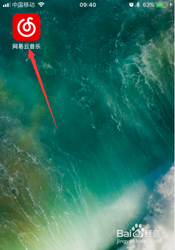 网易云音乐怎么开启使用234G网络播放
