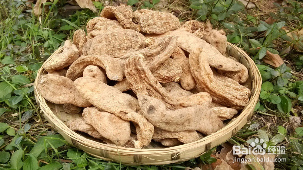 正常通气却嗅觉失灵