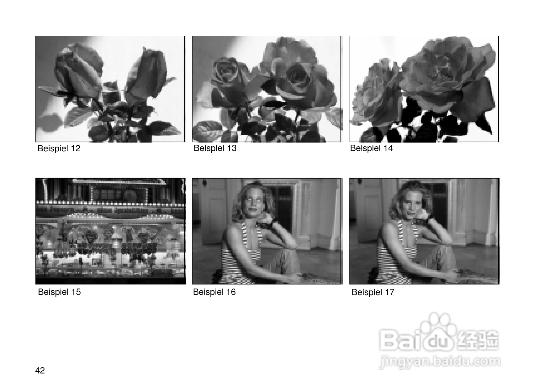 Rollei Prego 90AF型数码相机使用说明书:[8]