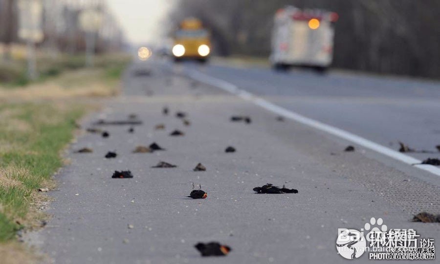 英雄联盟小学生之手如何脱坑成为大神