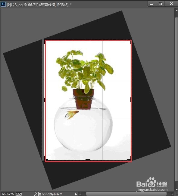 摆正图片有妙招