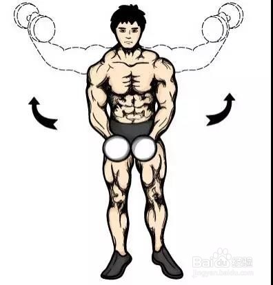 只需一对哑铃,在家锻炼全身肌肉!