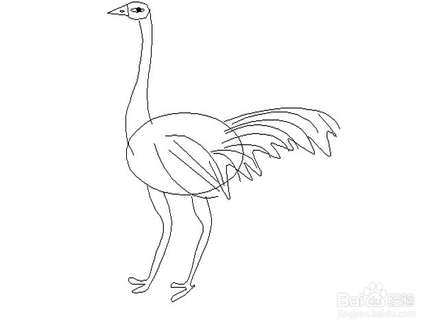 怎样画鸵鸟的简笔画