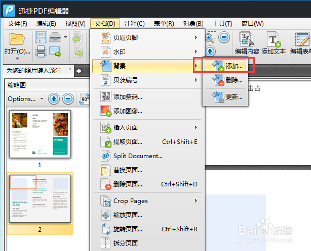 给PDF文件页面内容中如何添加背景颜色