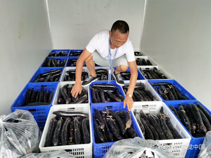 茄子虽好,但这样吃容易中毒