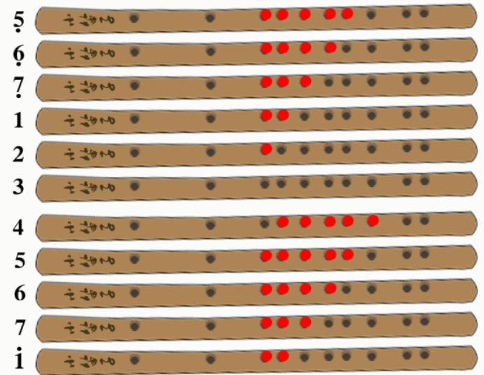 笛子的调与筒音的关系