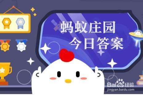 小鸡宝宝考考你:以下哪种蔬菜有菊花菜的别称