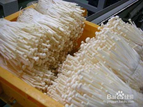 金针菇5大食疗功效