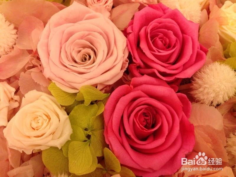 永生花盒制作过程