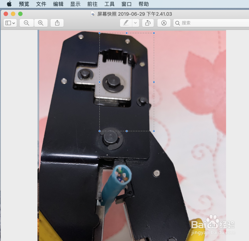 苹果电脑如何转化图片格式