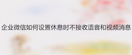 企业微信如何设置休息时不接收语音和视频消息