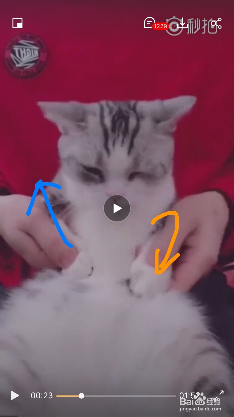 海草舞舞蹈教程分解动作