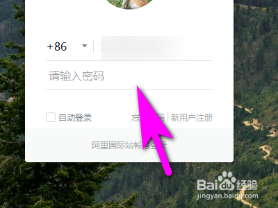 电脑版钉钉如何创建运动群