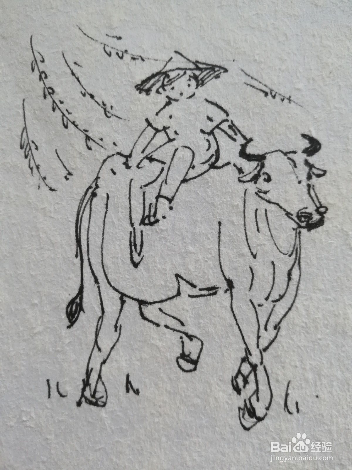 清明节的牛怎么画