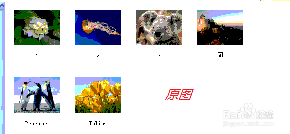XP缩略图显示有缺陷