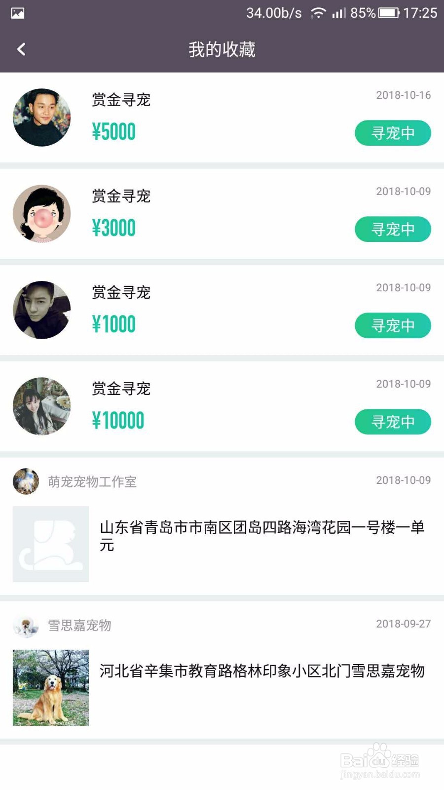 在爱喂养APP如何赚钱新手如何快速突破