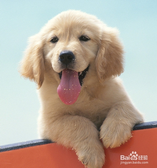 乘坐​飞机步骤和注意事项